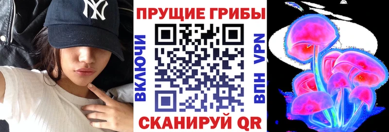 наркота Сосновоборск Галлюциногенные грибы ЛСД